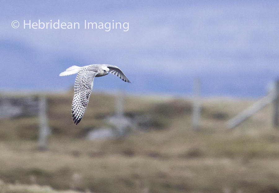 Hebridean Imaging - Outer Hebrides Photography
