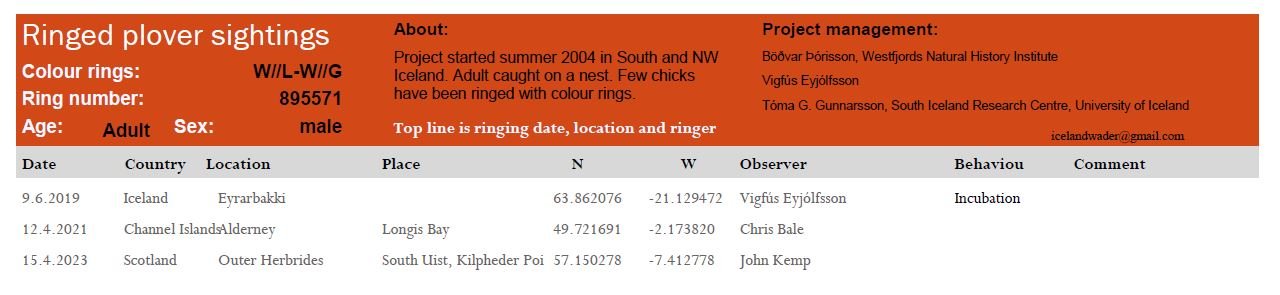 Colour ringed ringed plover (JBK) History.jpg