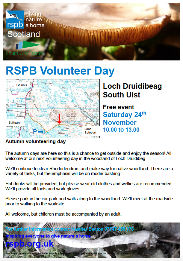 November2018-RSPB-VolunteerDay.png